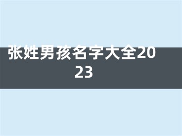 张姓男孩名字大全2023