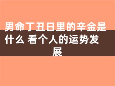 男命丁丑日里的辛金是什么 看个人的运势发展