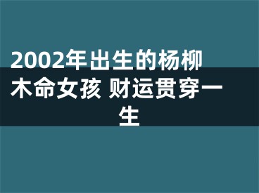 2002年出生的杨柳木命女孩 财运贯穿一生