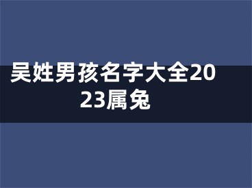 吴姓男孩名字大全2023属兔