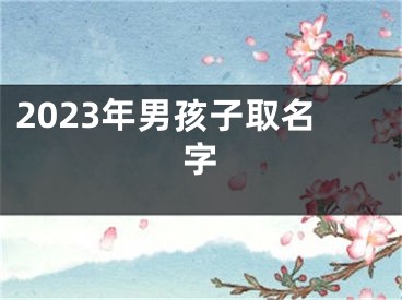 2023年男孩子取名字