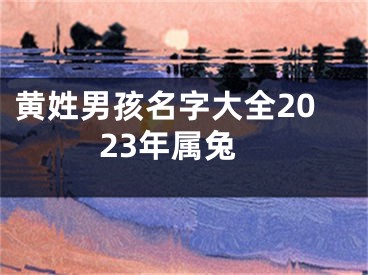 黄姓男孩名字大全2023年属兔