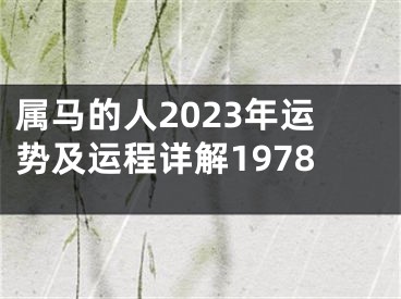 属马的人2023年运势及运程详解1978