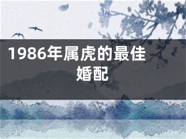 1986年属虎的最佳婚配