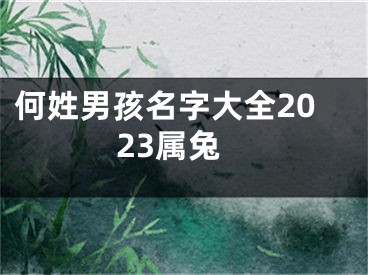 何姓男孩名字大全2023属兔