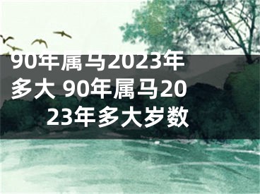 90年属马2023年多大 90年属马2023年多大岁数