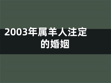 2003年属羊人注定的婚姻