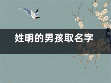 姓明的男孩取名字