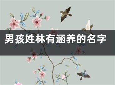 男孩姓林有涵养的名字