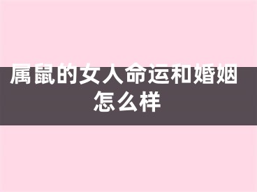 属鼠的女人命运和婚姻怎么样