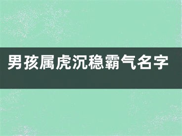 男孩属虎沉稳霸气名字