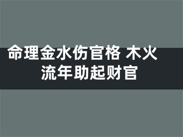 命理金水伤官格 木火流年助起财官