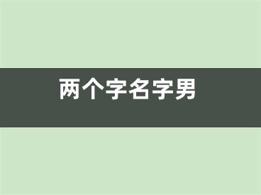 两个字名字男