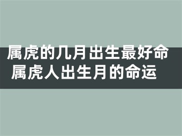 属虎的几月出生最好命 属虎人出生月的命运