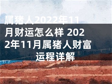 属猪人2022年11月财运怎么样 2022年11月属猪人财富运程详解