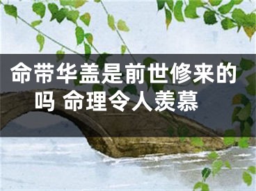 命带华盖是前世修来的吗 命理令人羡慕