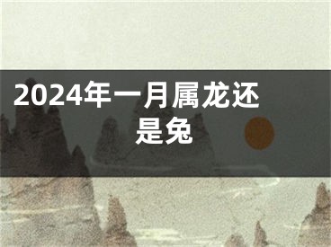 2024年一月属龙还是兔