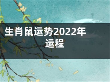 生肖鼠运势2022年运程