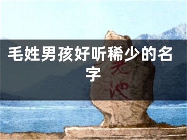 毛姓男孩好听稀少的名字