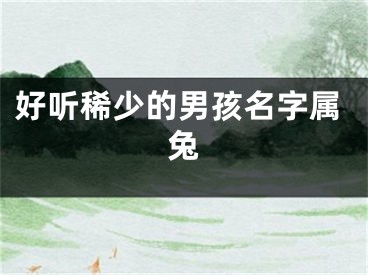 好听稀少的男孩名字属兔