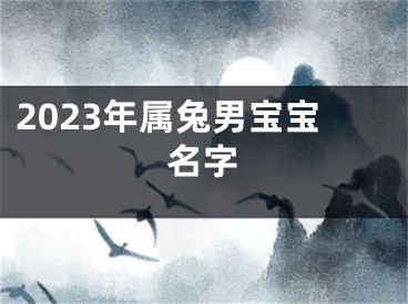 2023年属兔男宝宝名字