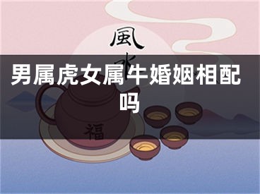 男属虎女属牛婚姻相配吗