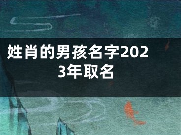 姓肖的男孩名字2023年取名