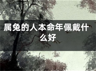 属兔的人本命年佩戴什么好