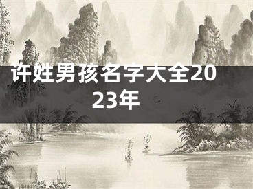 许姓男孩名字大全2023年