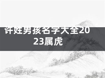 许姓男孩名字大全2023属虎