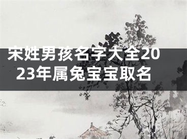 宋姓男孩名字大全2023年属兔宝宝取名