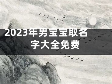 2023年男宝宝取名字大全免费