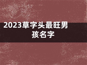 2023草字头最旺男孩名字