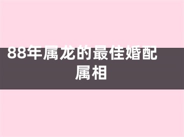 88年属龙的最佳婚配属相