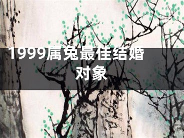 1999属兔最佳结婚对象