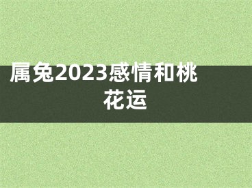 属兔2023感情和桃花运