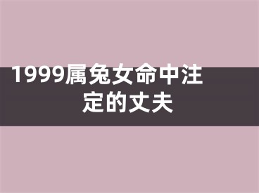 1999属兔女命中注定的丈夫