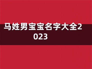 马姓男宝宝名字大全2023