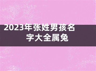 2023年张姓男孩名字大全属兔