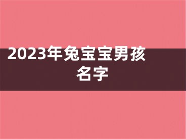 2023年兔宝宝男孩名字