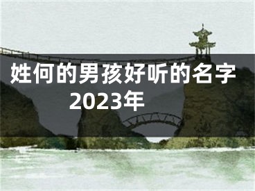 姓何的男孩好听的名字2023年