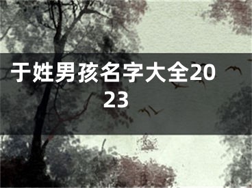 于姓男孩名字大全2023