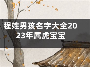 程姓男孩名字大全2023年属虎宝宝