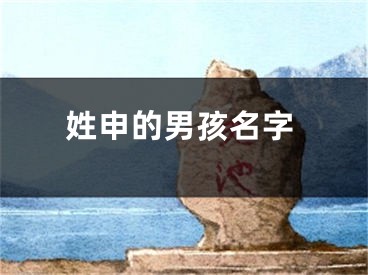 姓申的男孩名字