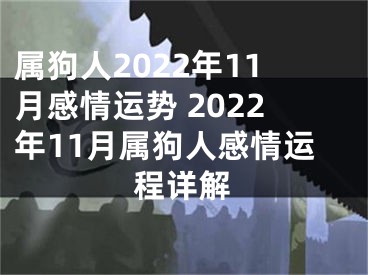 属狗人2022年11月感情运势 2022年11月属狗人感情运程详解