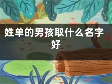 姓单的男孩取什么名字好