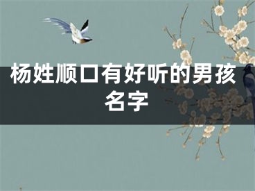 杨姓顺口有好听的男孩名字