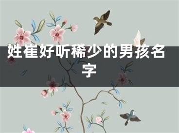 姓崔好听稀少的男孩名字