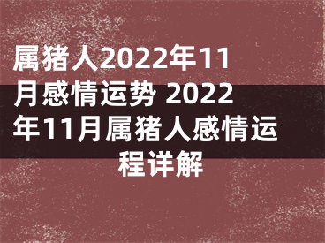 属猪人2022年11月感情运势 2022年11月属猪人感情运程详解