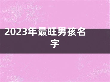 2023年最旺男孩名字